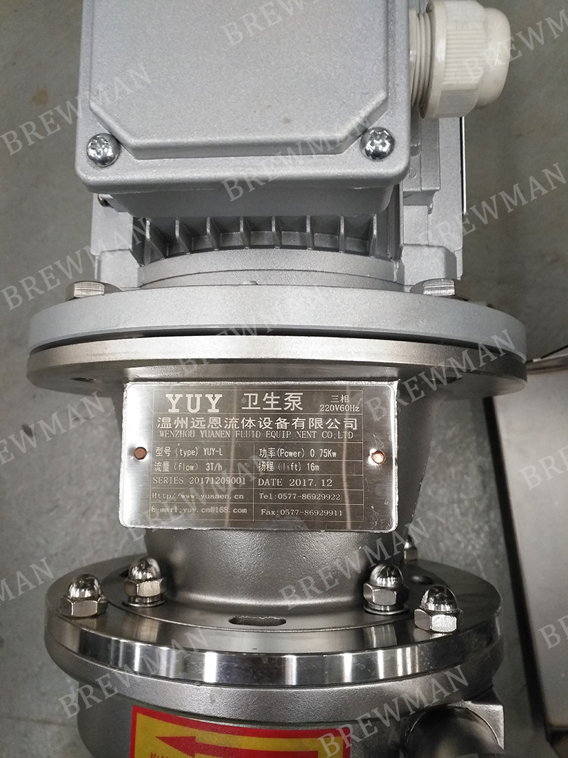 10T/H Beer Brewing Wort Pump Setup Brewman