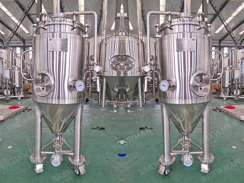100L Microbrewery Yeast Propogration Tank For Sale