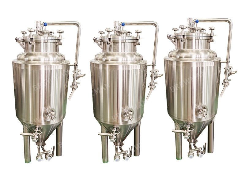 Small Conical Stainless Steel Fermenter for Sale
