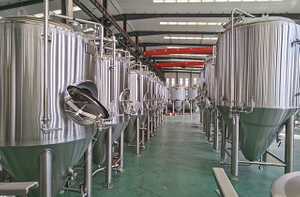 2000l Commercial Hard Seltzer Equipment 